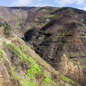 Madeira_hiking_tour-10