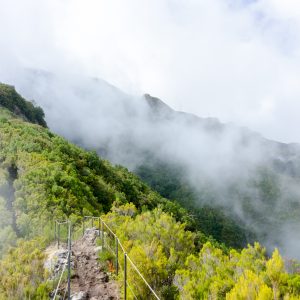 Madeira_hiking_tour-12