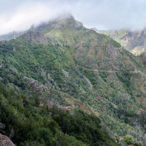 Madeira_hiking_tour-13